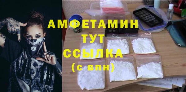 гидра Краснослободск