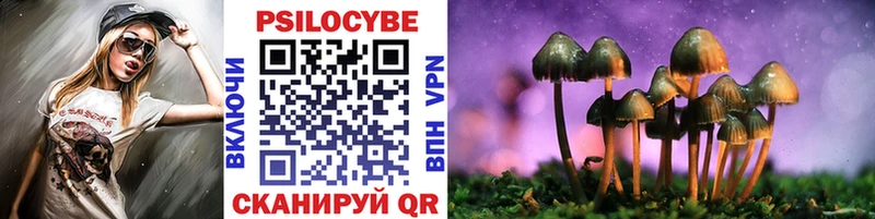 Купить  Губкинский  Галлюциногенные грибы ЛСД 